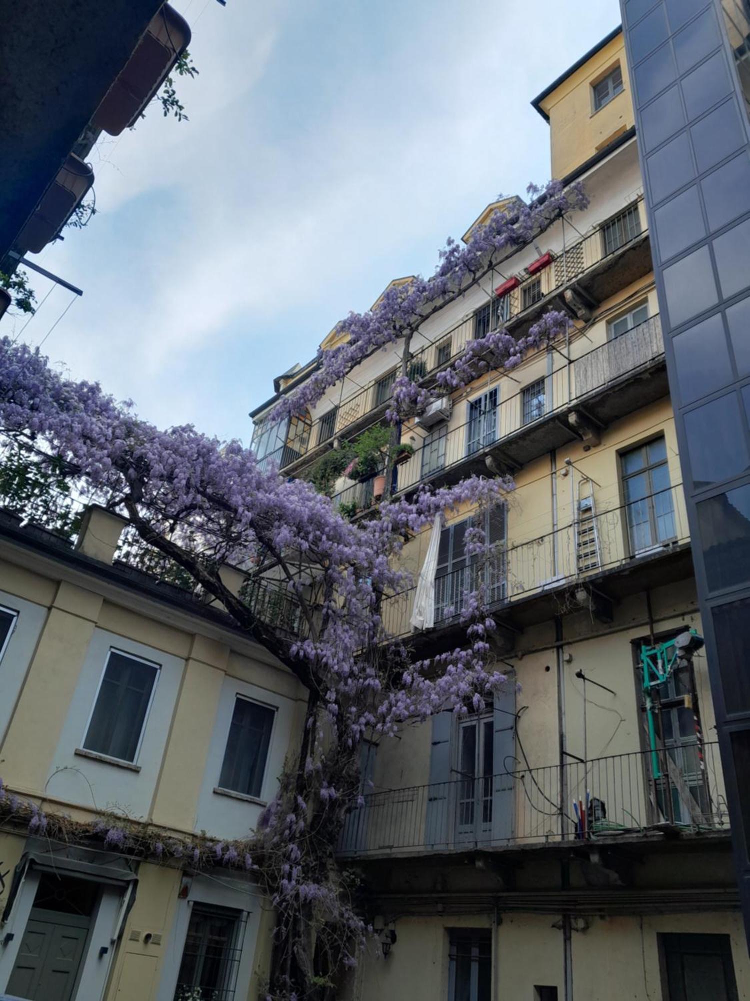 Alloggio Torino Inquadro Dış mekan fotoğraf